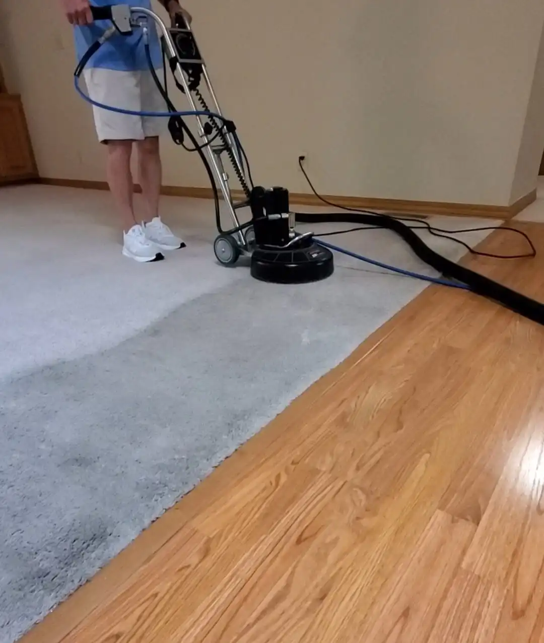 Carpet Cleaning Service