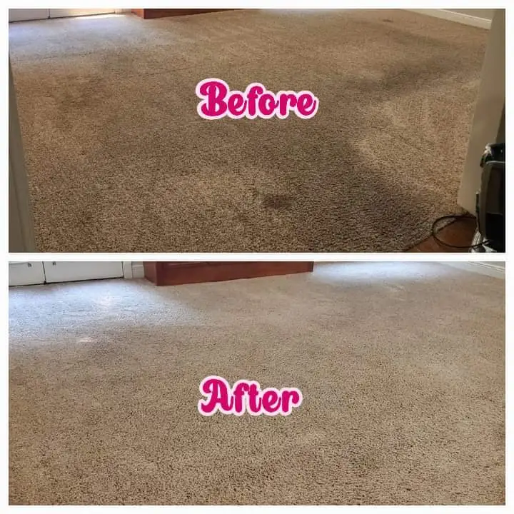 Carpet Cleaning Work Sample