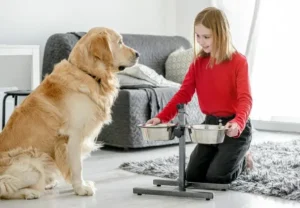 Pet Carpet Cleaning