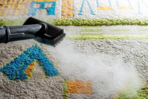 Preventing Mold Growth in Carpet